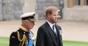 Poll: Who Is More to Blame in Charles-Harry Palace Row?