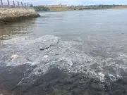 Polluter to pay for Port of Tyne nurdle clean-up after 25-tonne spill