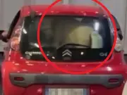 Pony Squashed into Tiny Car for Ferry Crossing Stuns Tourists