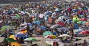 Portugal Issues State of Alert as Temperatures Expected to Exceed 40C