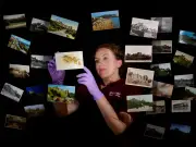 Postcards 'at risk of disappearing', English Heritage warns