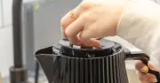 Prevent Fruit Flies in Kitchen Using Expert-Approved Kettle Method