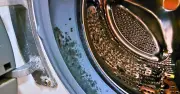 Prevent Washing Machine Mould in Summer with Simple 10-Second Task