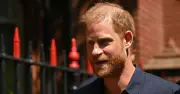 Prince Harry and Meghan Markle Slammed as 'Toxic' by PR Expert Over UK Visit Chaos