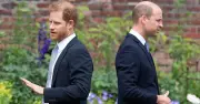 Prince Harry and William's Bond 'So Broken' Despite King Charles Reunion