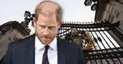 Prince Harry 'betrayed the country' - expert warns reputation destroyed