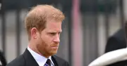 Prince Harry May Have Taken Archie and Lilibet to Diana's Grave, Expert Says