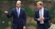Prince William's Brutal Priority Preventing Harry Reunion: Trust Issue