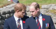 Princess Catherine Urges Prince William to Meet Prince Harry During UK Visit