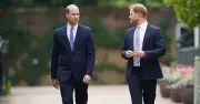 Princess Diana Tried to Prevent William and Harry's Rift, Former Butler Says