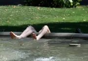 Puggled, Scumfished or Shrammed: Readers Share Regional Words for Extreme Temperatures
