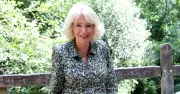 Queen Camilla Sidesteps Prince Harry Drama with Surprise Ashdown Forest Visit