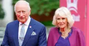 Queen Camilla's 'Significant' Role in Prince Harry-King Charles Meeting Revealed