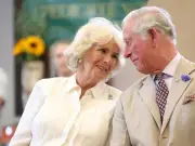 Queen Camilla's 'Significant' Role in Prince Harry's Meeting with King Charles