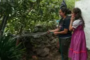 Rainwater Harvesting Transforms Lives in Mexico City's Informal Settlements