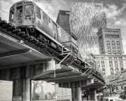 Readers' Best Photographs: City Life, Wildlife, and More