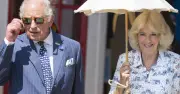 Real Reason Queen Camilla Was With King Charles for Harry and Meghan Reunion