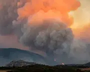 Record Wildfires in Europe Show Cost of Failing to Adapt to Climate Crisis