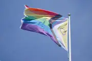 Reform Council Leader Says Protesters 'Abused Our Flagpoles' by Hanging Pride Flags