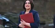 Reform offered security meeting after Widdecombe murder sparks MP safety row