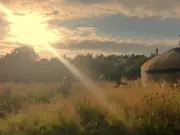 Remote Yurt Stay in Welsh Countryside: An Exhilarating Experience