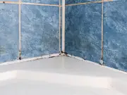 Remove Shower Mould with White Vinegar: Simple Natural Cleaning Method