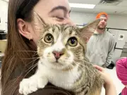 Rescue cat with 28 toes breaks Guinness World Record