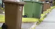 Revealed: The 3 UK councils charging the most for garden waste collection