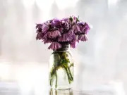 Revive drooping flowers in 30 minutes with simple no-cost trick