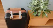 RHS advises four methods to protect plants while on holiday