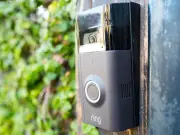Ring Doorbell Captures Bear Opening Parcel on Doorstep