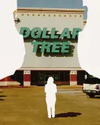 Rise of 'Gooner' Assaults at Dollar Tree Stores: Women Targeted in Disturbing Online Trend