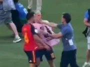 Roberto Ayala explains Dani Olmo clash as FIFA investigates World Cup final