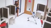 Rogue Robot Kung Fu Kicks Handlers in Staged Viral Stunt