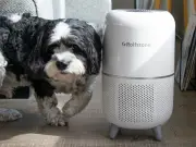 Rolfstone Air Balance Purifier Review: Simple, Quiet, Effective HEPA Filtration