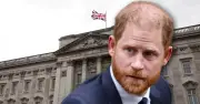 Royal Expert Issues Brutal Advice to Prince Harry Amid Palace Standoff