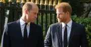 Royal Fans Urge Prince William Not to Forgive Prince Harry in New Poll
