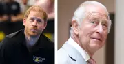 Royal Reconciliation Between King Charles and Prince Harry Yet to Begin Despite Highgrove Reunion