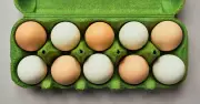 Sainsbury's Switches to White Eggs: Lower Carbon Footprint, No Nutritional Difference
