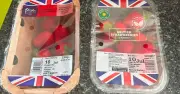 Sainsbury's Taste the Difference Strawberries: Worth the Extra Cost?