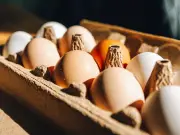 Sainsbury's White Egg Switch: No Nutritional Difference, Lower Carbon Footprint