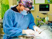 Scottish Charity Opens Children's Operating Theatre in Pakistan
