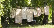 Scottish textile manufacturer Lanfine enters administration after 25 years