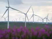 ScottishPower plans £1.5bn repower of Whitelee Windfarm to double capacity