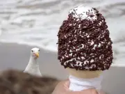 Seagull snatches ice cream in six minutes at Welsh beach
