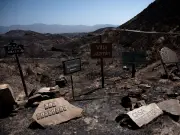 Seven British Nationals Die in Spain Wildfires, Police Confirm