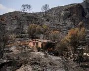 Seven Britons Among 12 Foreign Nationals Killed in Spain Wildfires