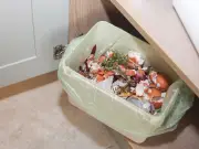 Seven items banned from new food waste caddies or bins won't be emptied