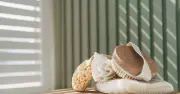 Shared Hand Towels May Spread Germs: Expert Cleaning Advice