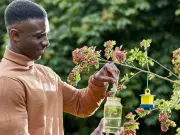 Shoppers 'shocked' by £5 summer fly trap that catches hundreds